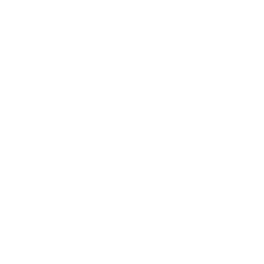 Government of the Punjab